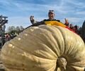 Mario van Geel aus Belgien hat mit 1152Kilo Europas schwersten Kürbis gezüchtet. Mario van Geel aus Belgien hat mit 1152Kilo Europas schwersten Kürbis gezüchtet.