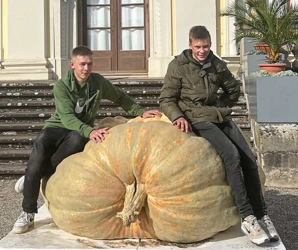 Platz drei geht an David Frommelt. Dieser Kürbis wiegt 949,5 Kilo und wuchs in Bayern.