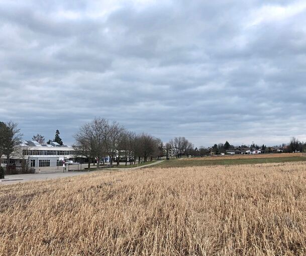 Gegenüber des Friedrich-List-Gymnasiums und der Baumreihe soll auf jetzt noch unbebauter Fläche die neue Sporthalle gebaut werden.