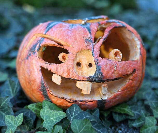 Am Donnerstag, 31. Oktober, wird auch in Ludwigsburg Halloween gefeiert.