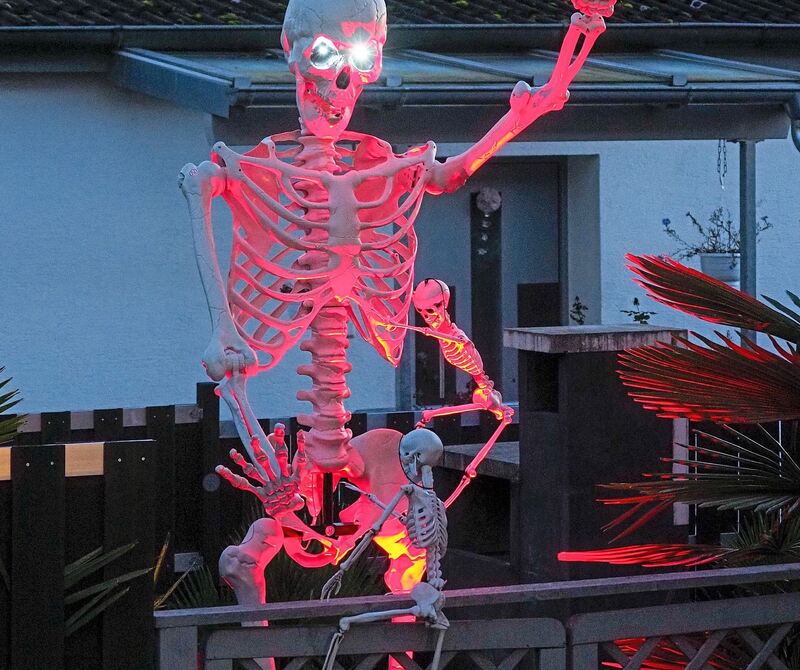 Ein drei Meter großes Skelett. Ein drei Meter großes Skelett.