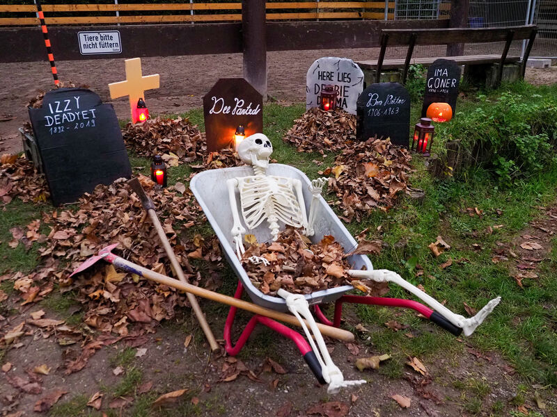 Skelette und Grabsteine dürfen Halloween nicht fehlen.