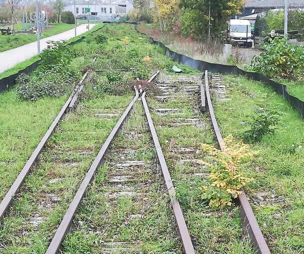 Demnächst soll mit dem Rückbau der Gleise auf der ehemaligen WEG-Trasse begonnen werden, Eidechsen sind bereits vergrämt.