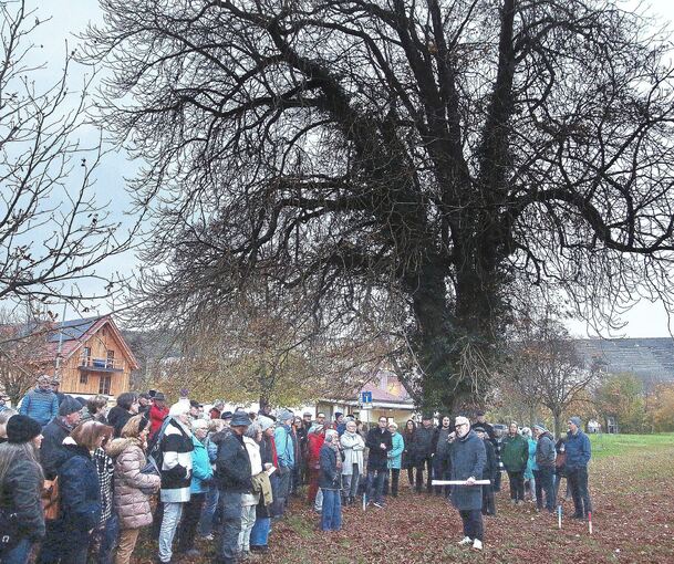 Am 12. November kamen viele Bürger zur Diskussion der Radweg-Pläne in den Enzpark. Kurz darauf empfahl der Ausschuss für Umwelt und Technik, keine neue Trasse anzulegen.