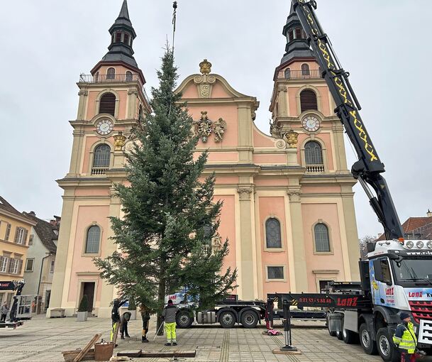 Mit einem Kran wurde der Baum an die richtige Stelle gebracht.