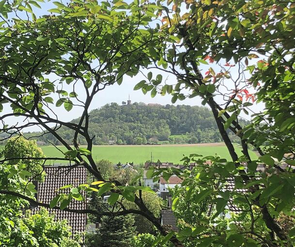„Schanzacker- Gelände der Begierde“, das ist eines der Themen bei einem Vortragsabend am Donnerstag, 21. November, in der Tammer Kelter.