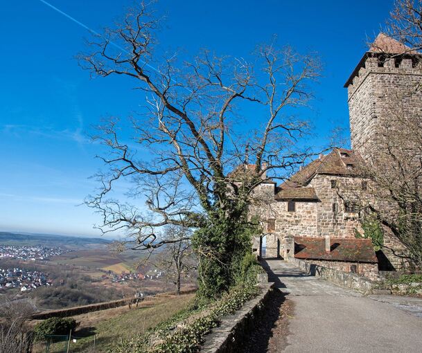Der Biergarten ist links unterhalb der Burg geplant.