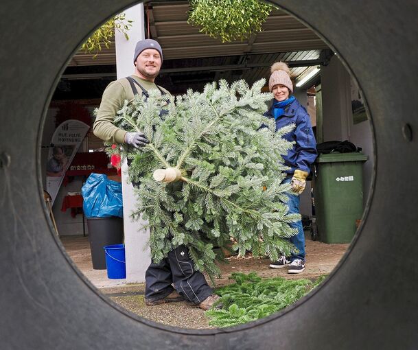 Eine neue Perspektive auf den Weihnachtsbaumverkauf bekommt Redakteurin Stephanie Nagel bei Patric Lorenz.