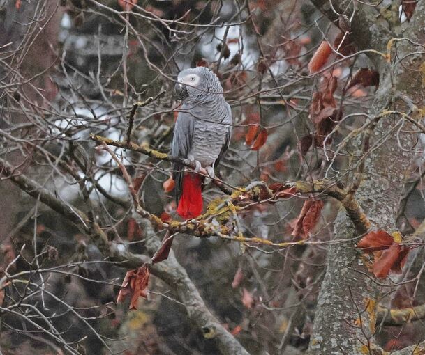 Hier war einer der Geflohenen noch in Freiheit... Hier war einer der Geflohenen noch in Freiheit...