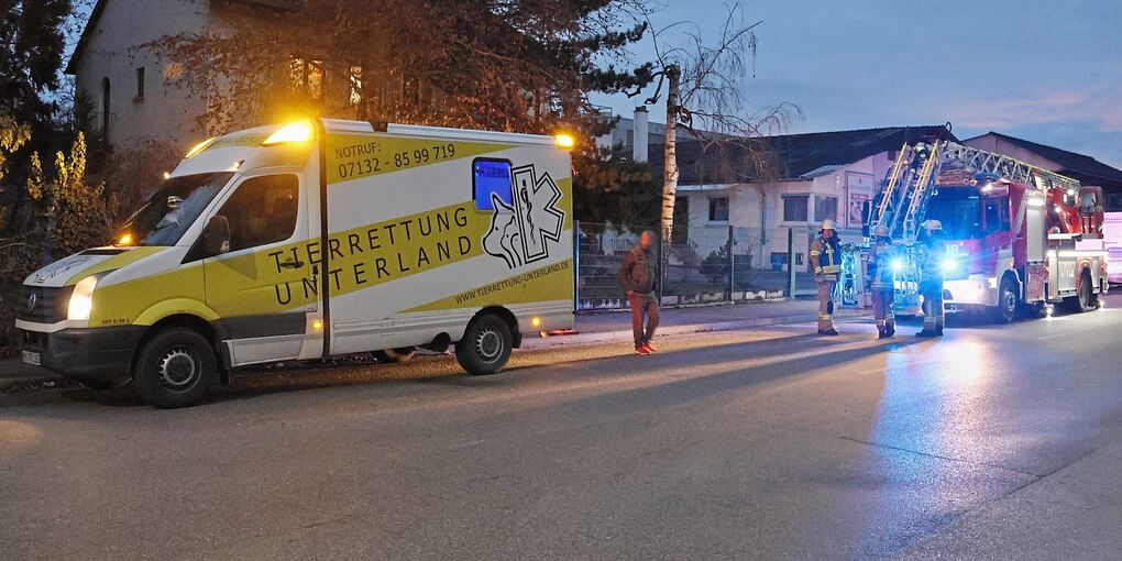 Großer Einsatz für ein vergleichweise kleines Tier. Großer Einsatz für ein vergleichweise kleines Tier.