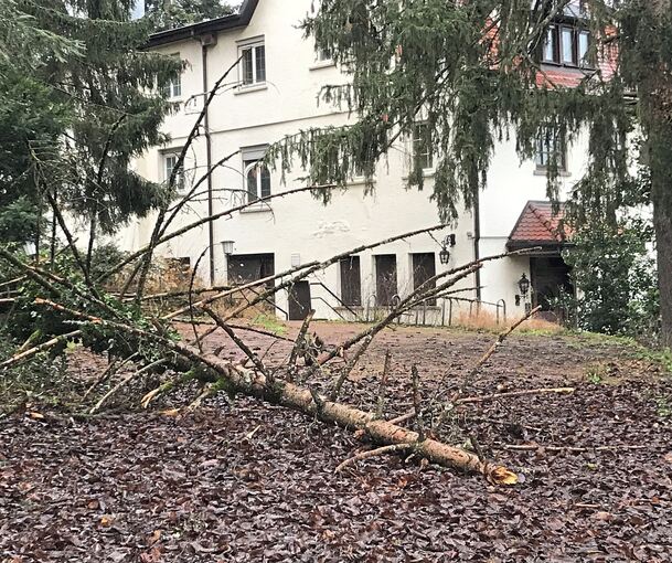 Blick über die Zufahrt auf das alte Hohenecker Hotel neben dem Heilbad.