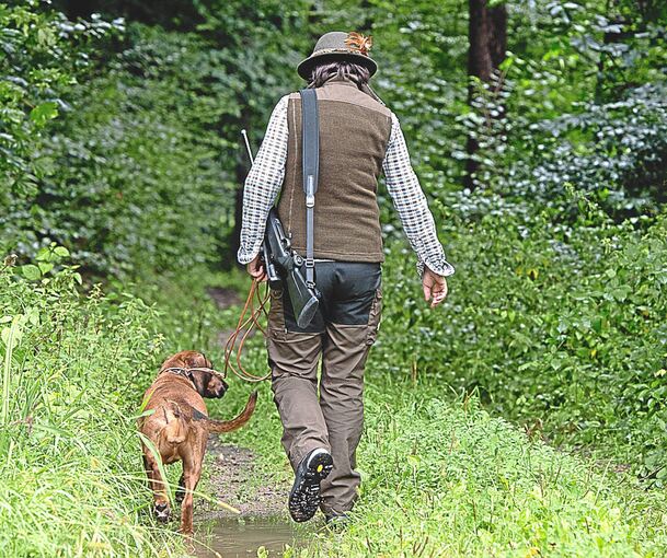 In Besigheim müsste für diesen Jagdhund - eine Bayerische Gebirgsschweißhündin - Hundesteuer entrichtet werden.