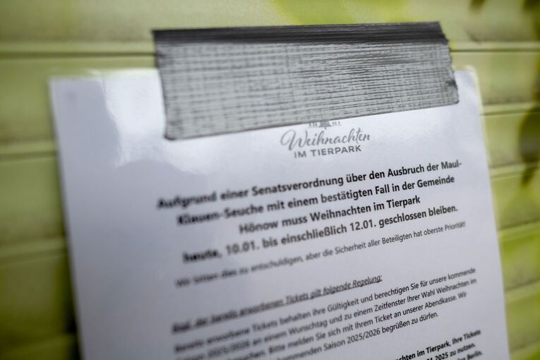 Maul- und Klauenseuche in Brandenburg - Tierpark Berlin