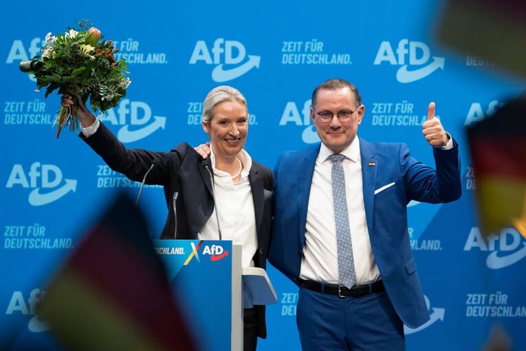 AfD-Bundesparteitag in Riesa