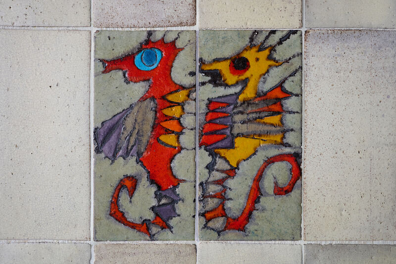 Seepferdchen von Fred Stelzig.
