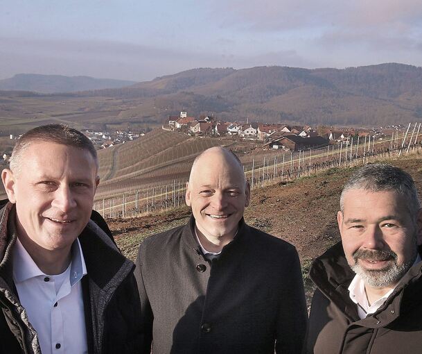 Mit Blick über Hohenhaslach in den westlichen Landkreis: die Vorstände Frank Kraaz (von links), Timm Häberle und Heiko Herbst.