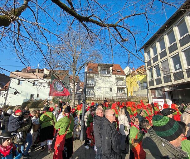 Unterstützung im Rathaussturm bekommen die Narren von vielen Neckarweihingern.