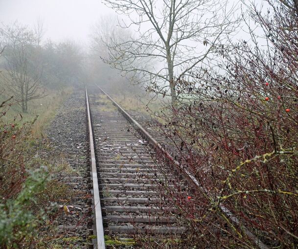 Die Gleise der Zabergäubahn bei Brackenheim: Mitte der 2030er Jahre könnten hier wieder Züge fahren.