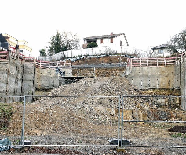 Auf diesem Areal an der Straße zwischen Bietigheim und Metterzimmern tut sich schon lange nichts mehr. Das Grundstück gehört zur Konkursmasse der Firma Paulus.