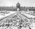 Gleise zum Konzentrationslager Auschwitz-Birkenau: Am 27. Januar jährt sich der Tag der Befreiung. Sfefan Ranzinger, Leiter des Beruflichen Schulzentrums Bietigheim-Bissingen, mit dessen Schülern das Interview stattfand, sagt: „Mit der ungeheuerliche