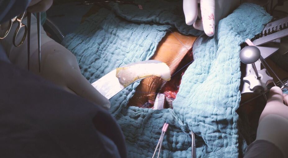 Herzpflaster aus Stammzellen