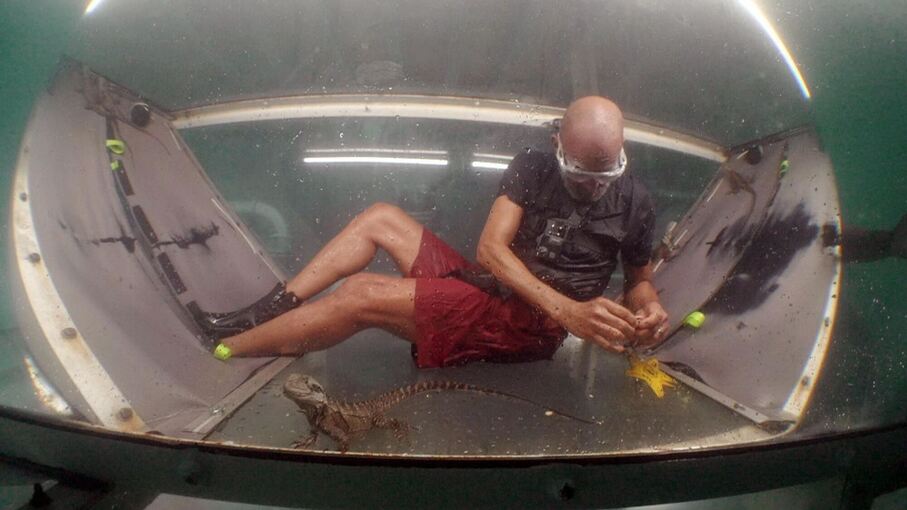 Ich bin ein Star - Holt mich hier raus! - Folge 11 Ich bin ein Star - Holt mich hier raus! - Folge 11