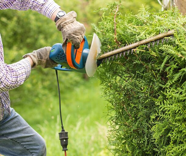 Hecken, genauso wie Bäume, dürfen zwischen März und September nicht in größerem Umfang geschnitten werdne. Foto: Leonardo Franko Hecken, genauso wie Bäume, dürfen zwischen März und September nicht in größerem Umfang geschnitten werdne.