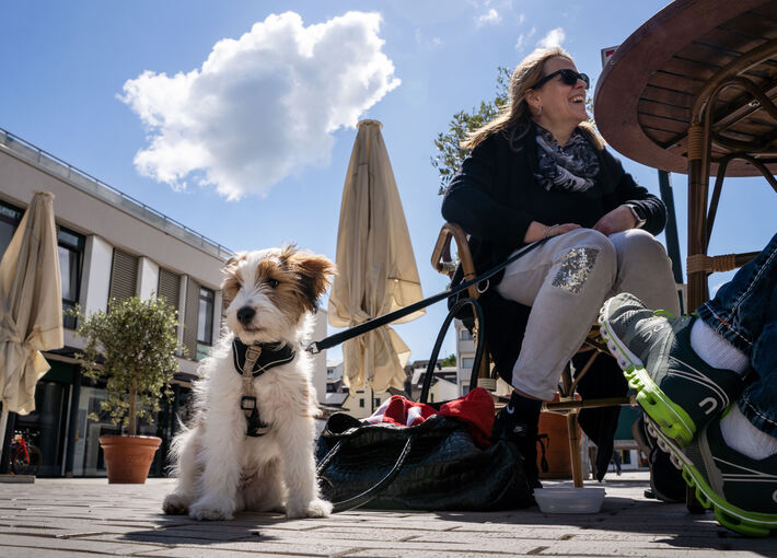 Ein Hund unterm Tisch gehört inzwischen bei vielen Restaurantbesuchen dazu – ein Problem für Menschen mit Angst oder Allergie.
