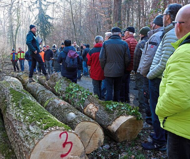 Revierförster Axel Armbruster leitet die Versteigerung. Seit Corona sind die Preise für Holz gestiegen.