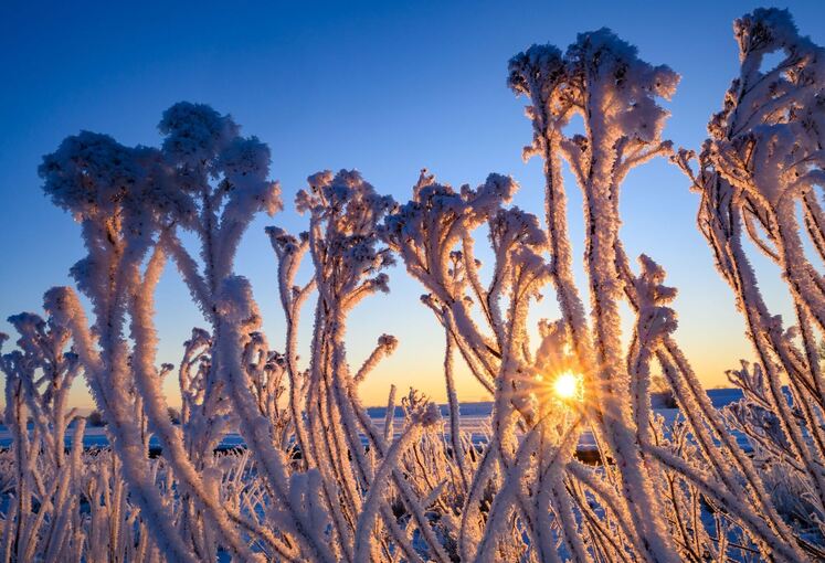 Winterwetter in Brandenburg