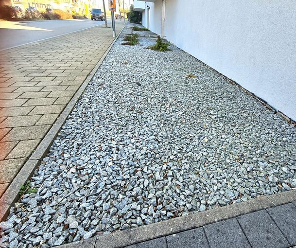 In den Neckarweihinger Neckarterrassen finden sich viele Beispiele von lieblosen Schottergärten.