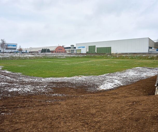 Auf dem Gelände zwischen Groener- und Mörikestraße wurde mittlerweile die Begrünung mit Weidelgras umgesetzt.