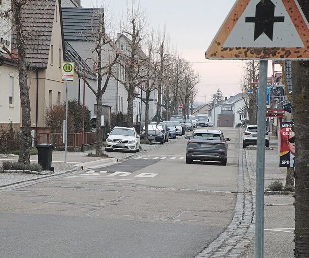 Die Freudentaler Straße in Löchgau: Hier sind viele Autofahrer mit mehr als den erlaubten 30 km/h unterwegs.