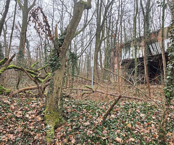 Lost-place-Ambiente: die ehemaligen Schießanlagen im Osterholz.