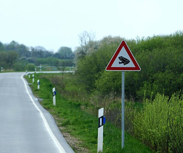 Warnschilder mit dem Frosch darauf sind ein Hinweis an Autofahrer vorsichtig zu fahren zum Schutz von Tieren und Helfern. Warnschilder mit dem Frosch darauf sind ein Hinweis an Autofahrer vorsichtig zu fahren zum Schutz von Tieren und Helfern.