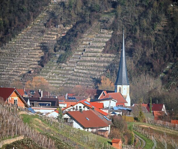 Steillage bei Walheim: Den Wengertern geht es gerade nicht gut, auch weil zu wenig Weintrinker nachkommen.