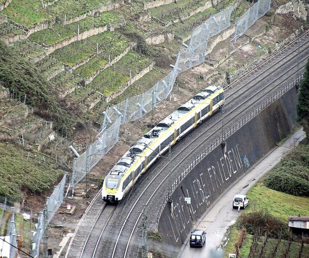 Der Fangzaun steht. Foto: Alfred Drossel Der Fangzaun steht.