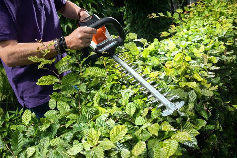 Bahn, Rente, Sommerzeit – was sich im März ändert