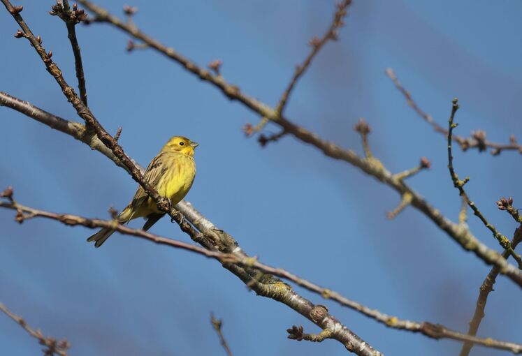 Wetter in Baden-Württemberg