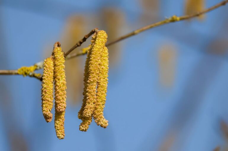 Wetter in Baden-Württemberg