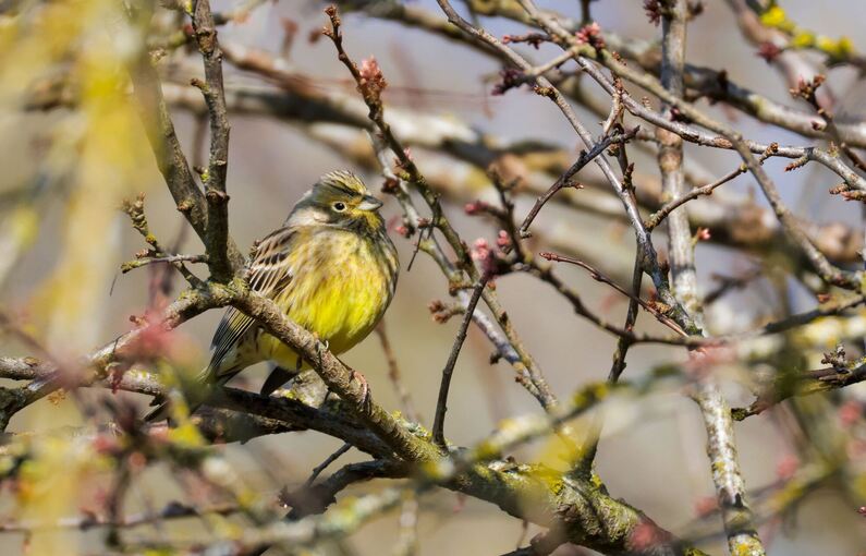 Wetter in Baden-Württemberg
