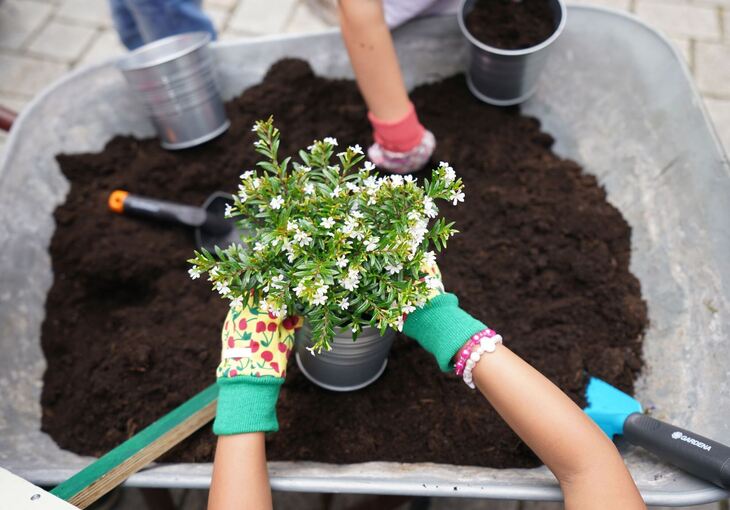 Eröffnung der Hamburger Sommergärten Eröffnung der Hamburger Sommergärten