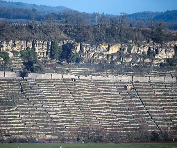 Viele Parzellen liegen auch in Mundelsheim brach. Das soll sich ändern.