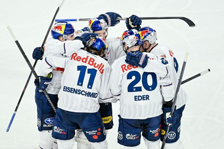 Die Profis des EHC Red Bull München Die Profis des EHC Red Bull München