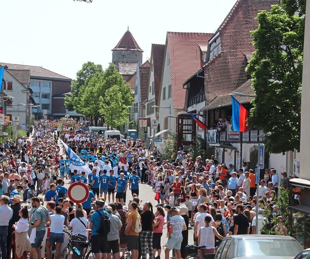 Der Vaihinger Maientag gehört zu den großen Festen im Landkreis Ludwigsburg und lockt alljährlich Tausende Besucher an. Eine Herausforderung für Stadtverwaltung und Sicherheitskräfte, vor allem nach den jüngsten Anschlägen.