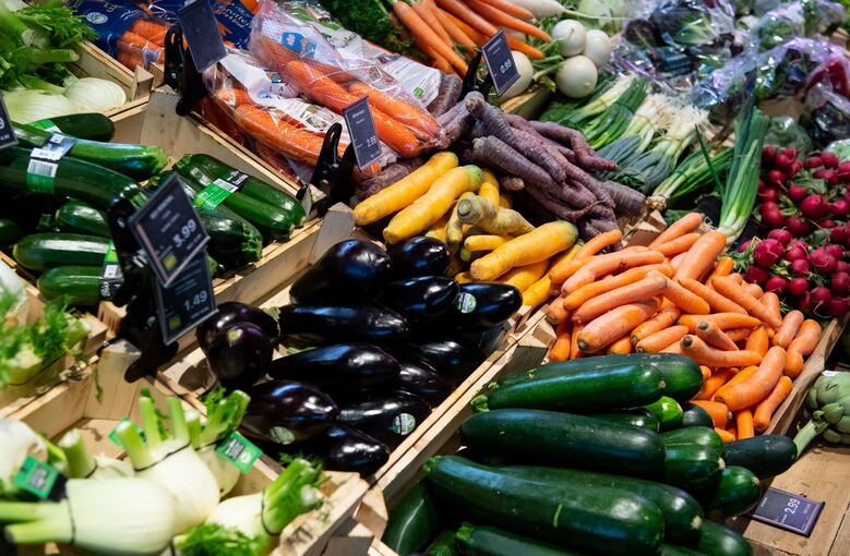 KINA - Mehr wissen über Bio