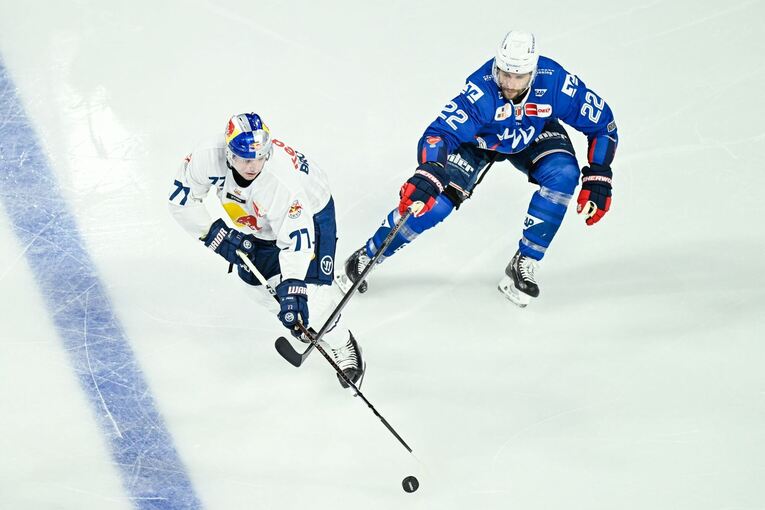 Matthias Plachta von den Adler Mannheim