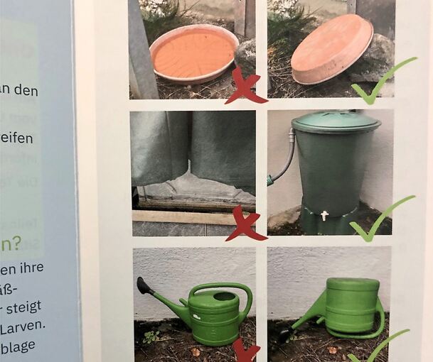 Am besten kopfüber: Kein Behältnis sollte im Garten oder auf dem Balkon so abgestellt werden, dass sich darin Wasser ansammeln kann.