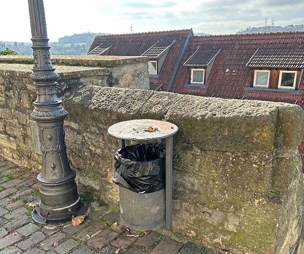 „Auf der Mauer“ in Besigheim: Die schöne Aussicht genießen – leider in vermüllter Umgebung.