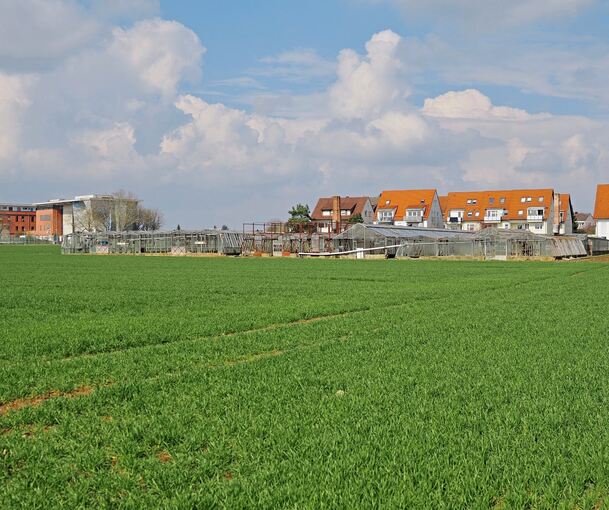 Oßweil Südwest: In den ehemaligen Gärtnereiflächen schlummert laut Stadtverwaltung Potenzial für neuen Wohnraum.
